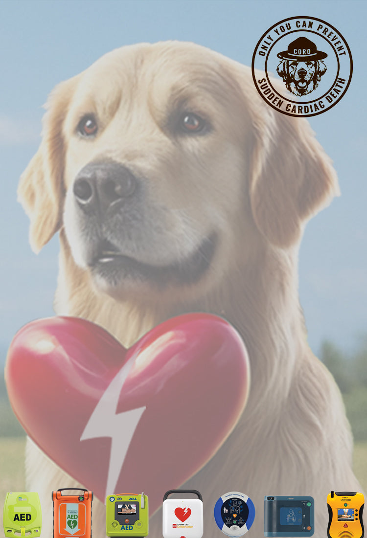 Your Loyal Partner In Saving Lives