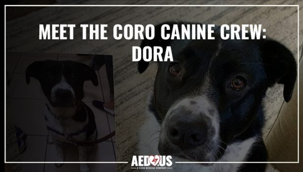 Meet the Coro Canine Crew: Dora