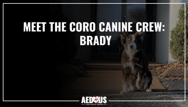 Meet the Coro Canine Crew: Brady