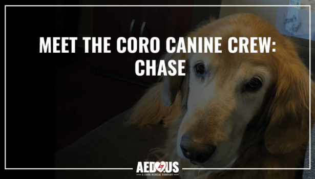 Meet the Coro Canine Crew: Chase