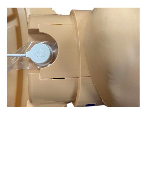 PRESTAN Series 2000 Professional Adult Manikin Lung Bags Connected